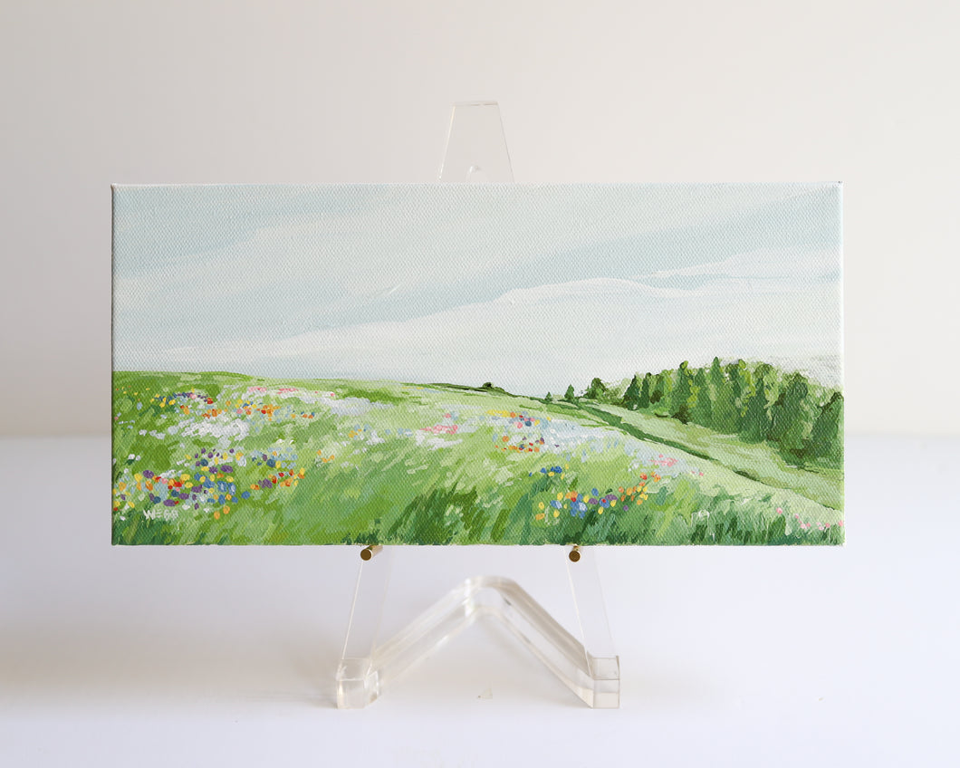 Color Field No 4 / 6x12”