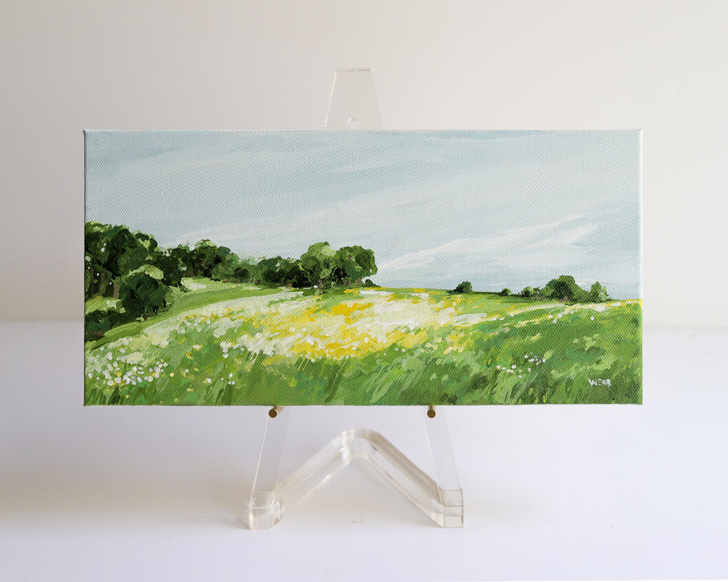 Color Field No 5 / 6x12”