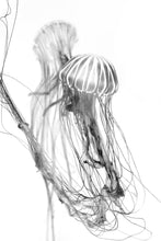 Load image into Gallery viewer, Uprise No. 1