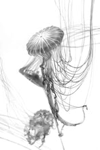 Load image into Gallery viewer, Uprise No. 7