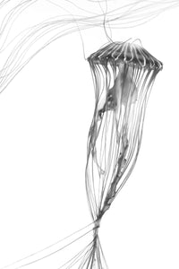 Uprise No. 8